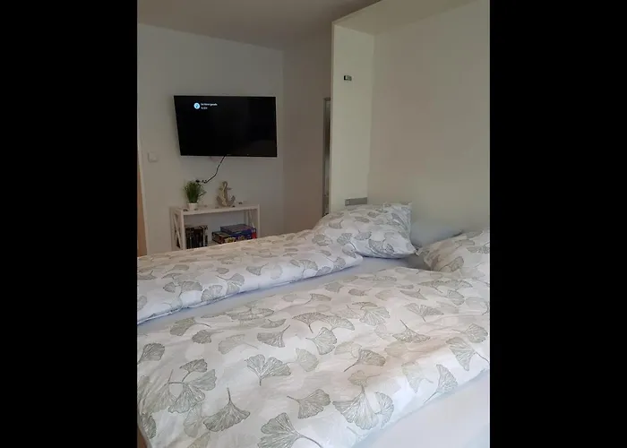 Neu! Mien Luette Boe Spo *